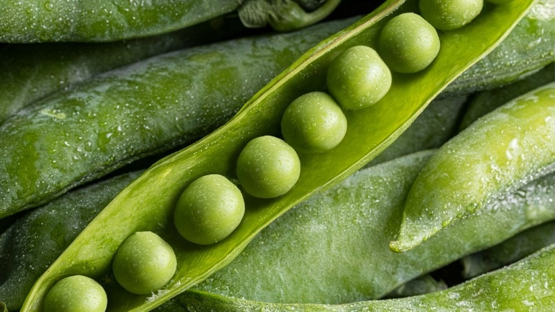      Фото: @freepik / freepik.com