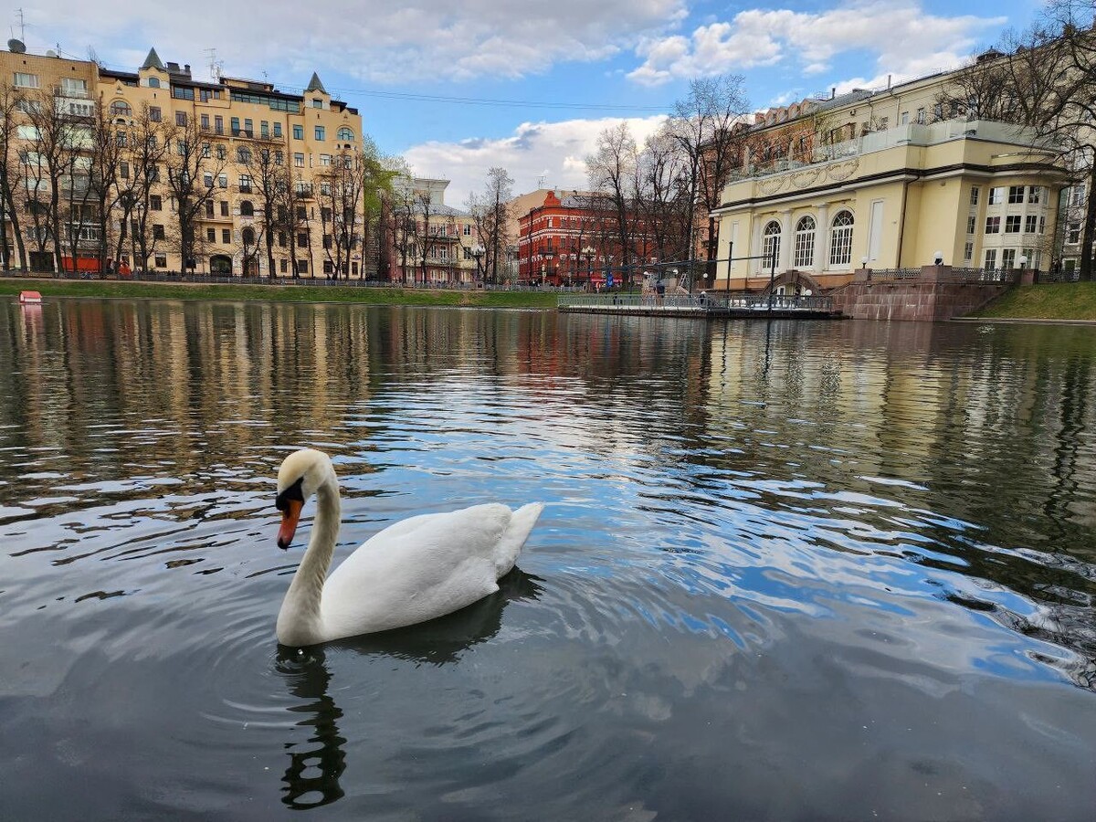Сквер Патриарших прудов. Фото взято из открытого источника