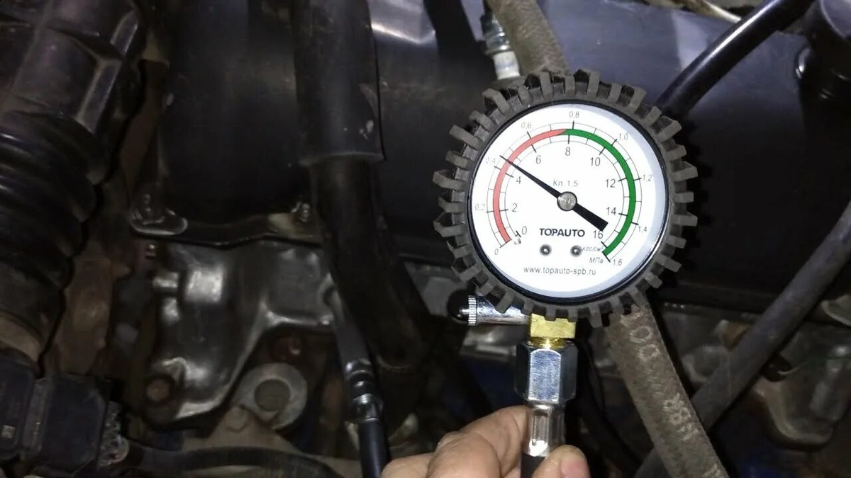 Фото заимствовано - https://yandex.ru/video/touch/preview/4013580515729016756