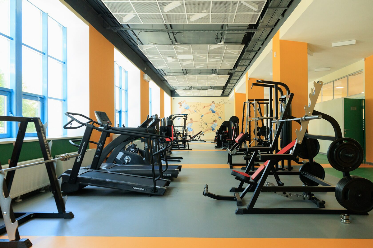 Тренажёрный комплекс "Динамо"