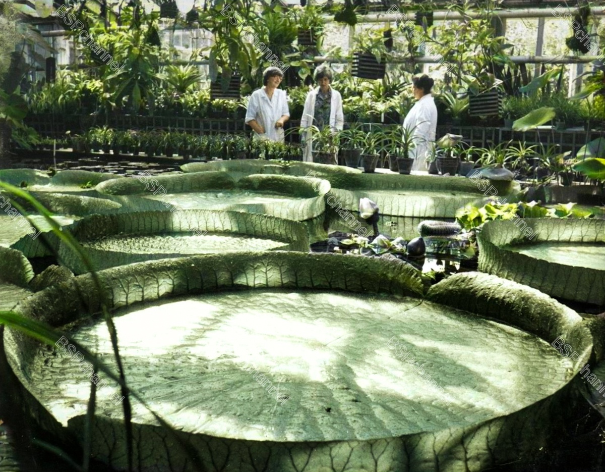 Фотограф: П.Носов