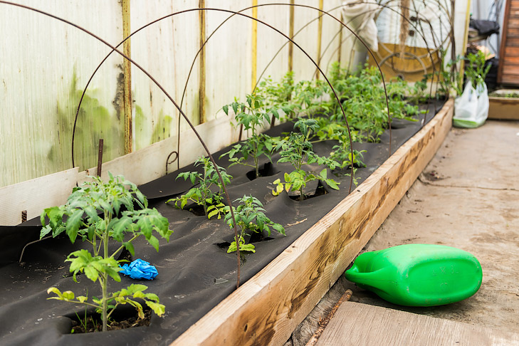    Фото Андрея Заржецкого