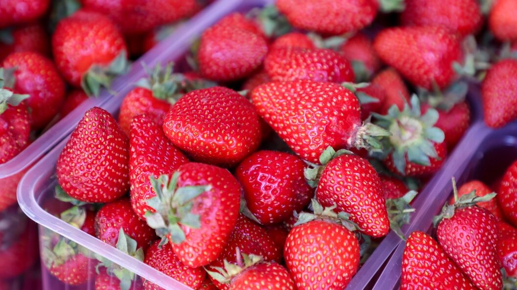    Belkin Alexey/news.ru/Globallookpress