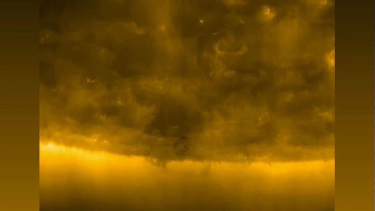    Кадр видео канала РИА Новости/t.me