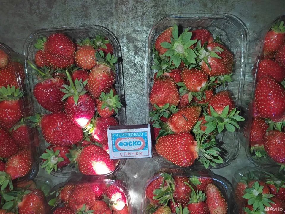    В Барнауле начался сезон клубники. Источник: avito.ru