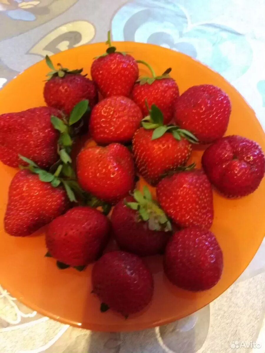    В Барнауле начался сезон клубники. Источник: avito.ru