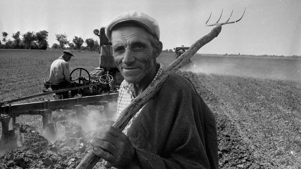 Иллюстрация к публикации. Источник Яндекс картинки