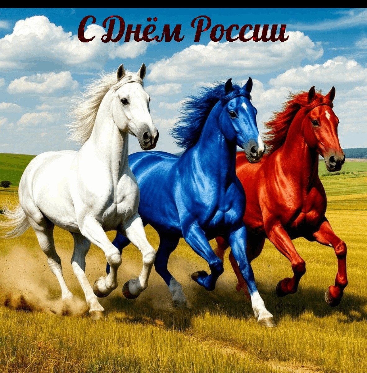 Из открытых источников интернета 