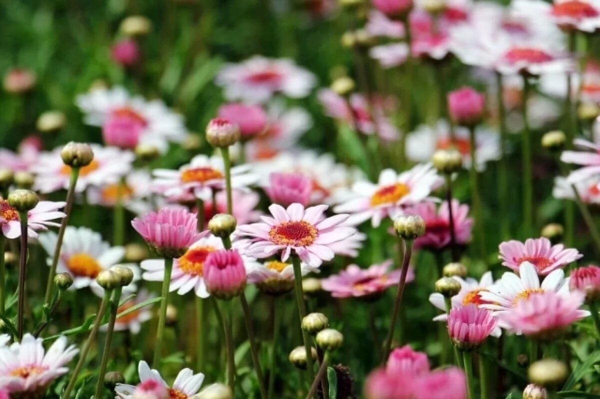    В выходные в Башкирии существенного ослабления жары ждать не стоит