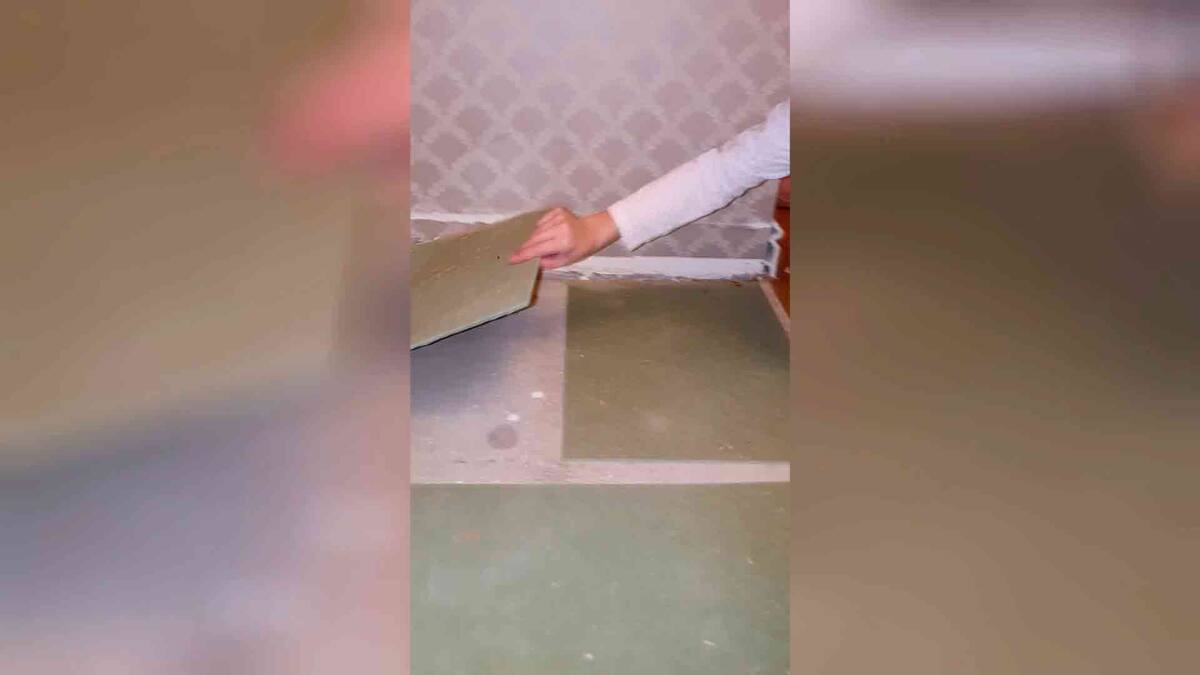 Хвойная подложка