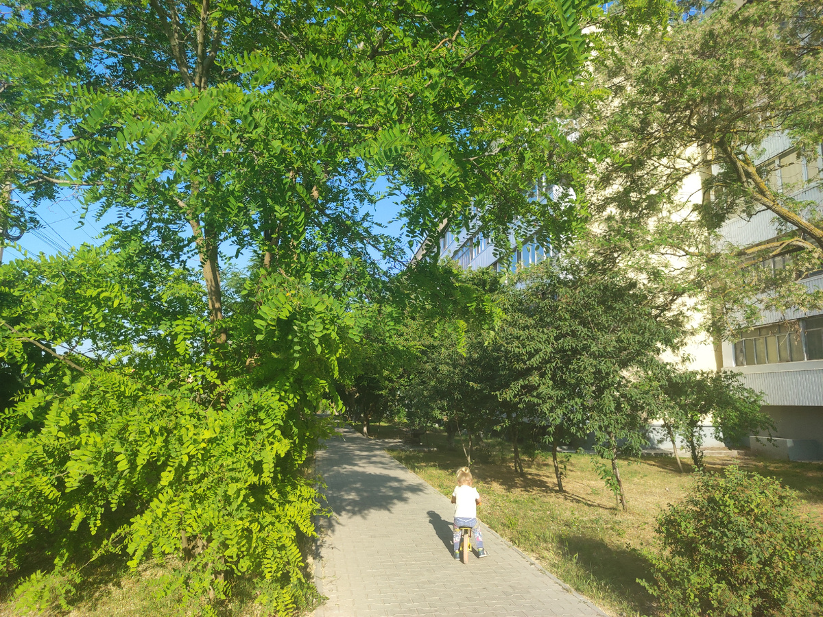 Гуляем недалеко от рынка 