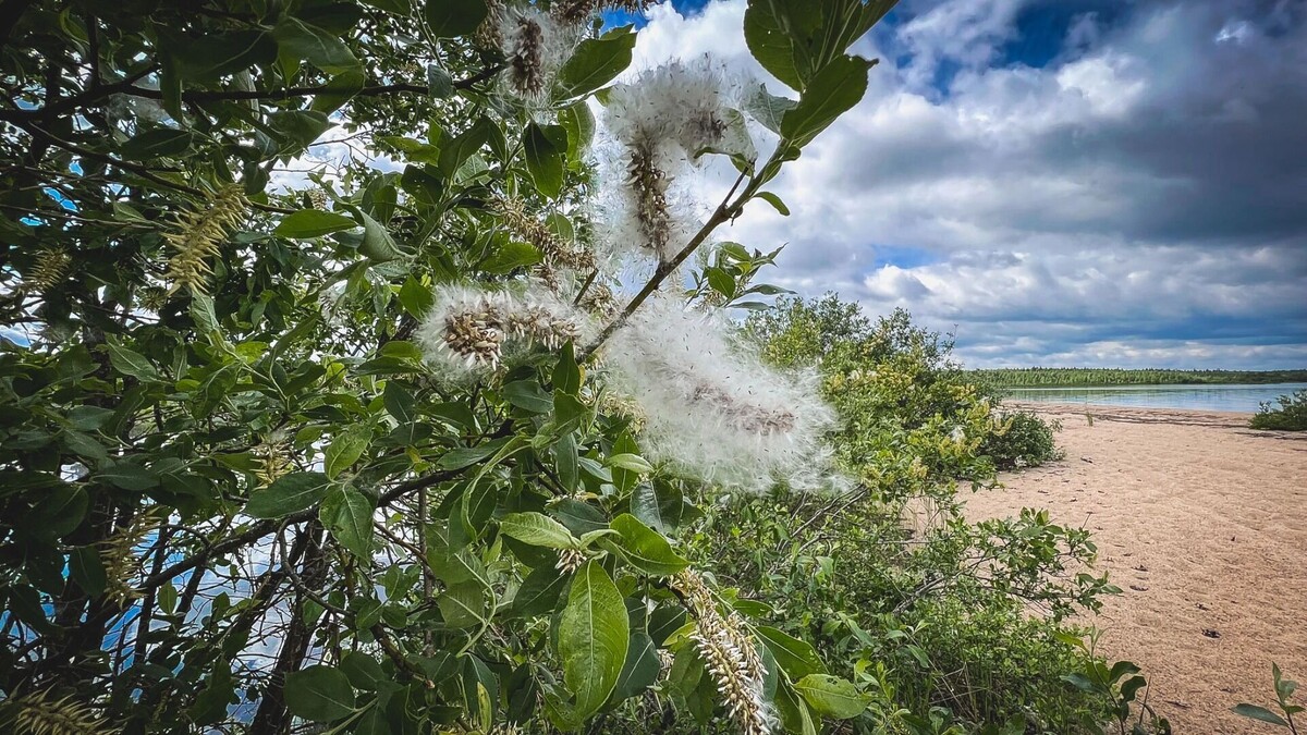     Источник: 1MI