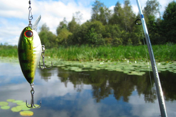 В нерест рыбалка только с берега на одну снасть, 2 крючка. Крючком является одинарный крючок, двойник или тройник.