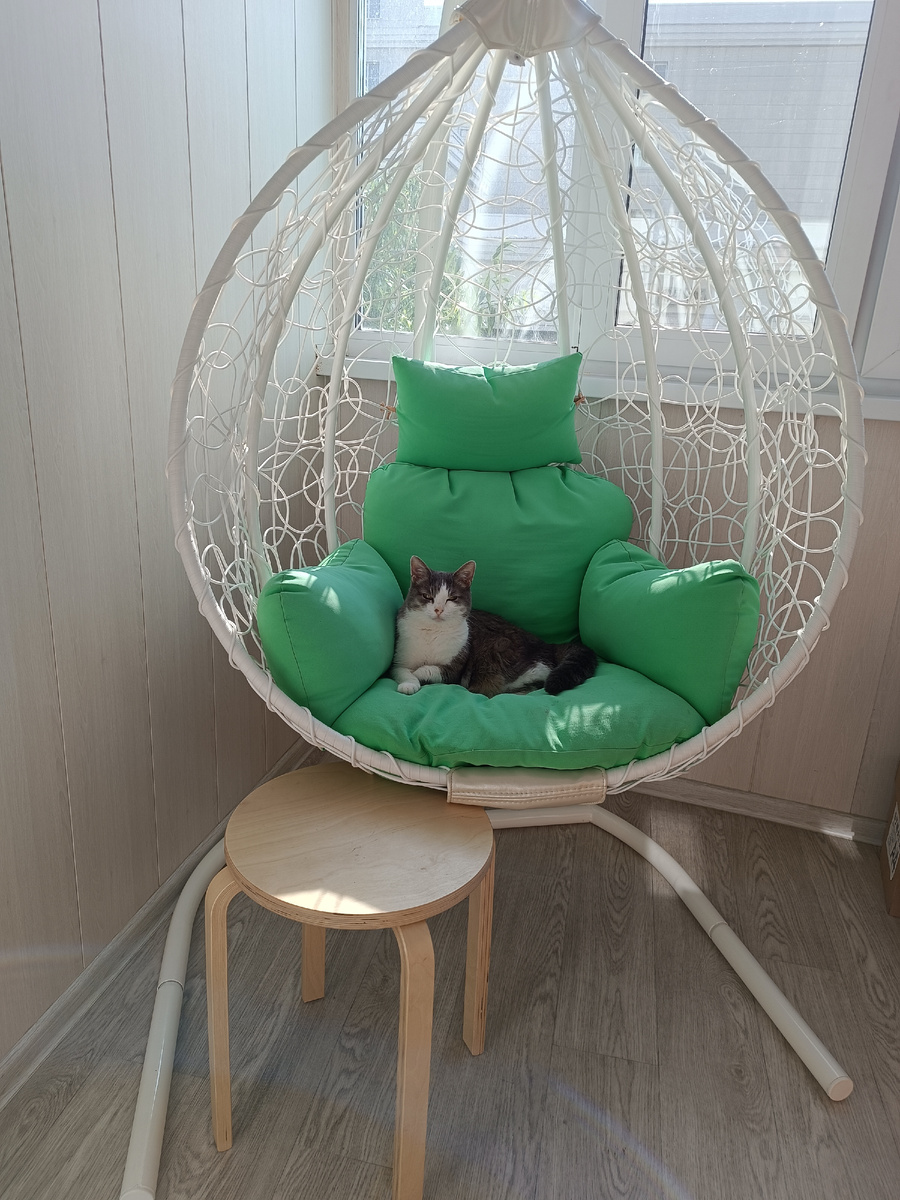 Фото автора. 