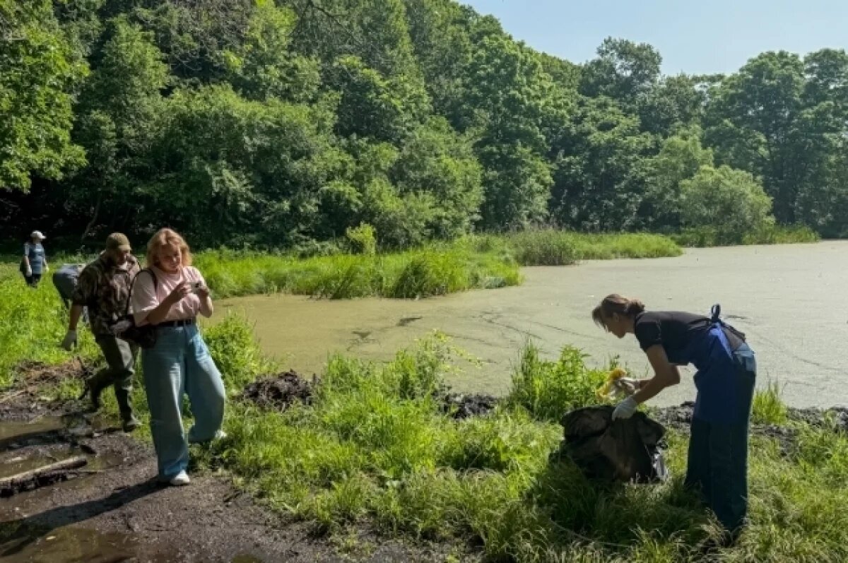    Волонтеры Владивостока благоустраивают заросшее озеро лотосов на Океанской