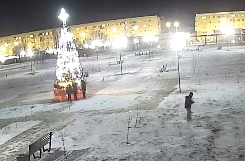    Скриншоты происшествия с видеокамеры, установленной в парке