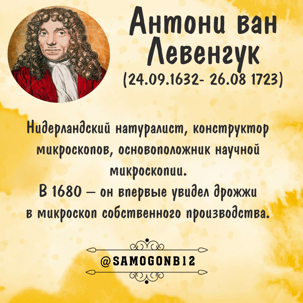 Помните как в песне Цоя..."Он увидел солнце...", так и здесь, он первый увидел дрожжи.