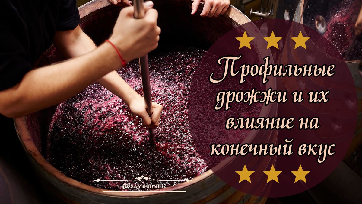 Профильные дрожжи и их влияние на конечный вкус. Коллаж автора ©