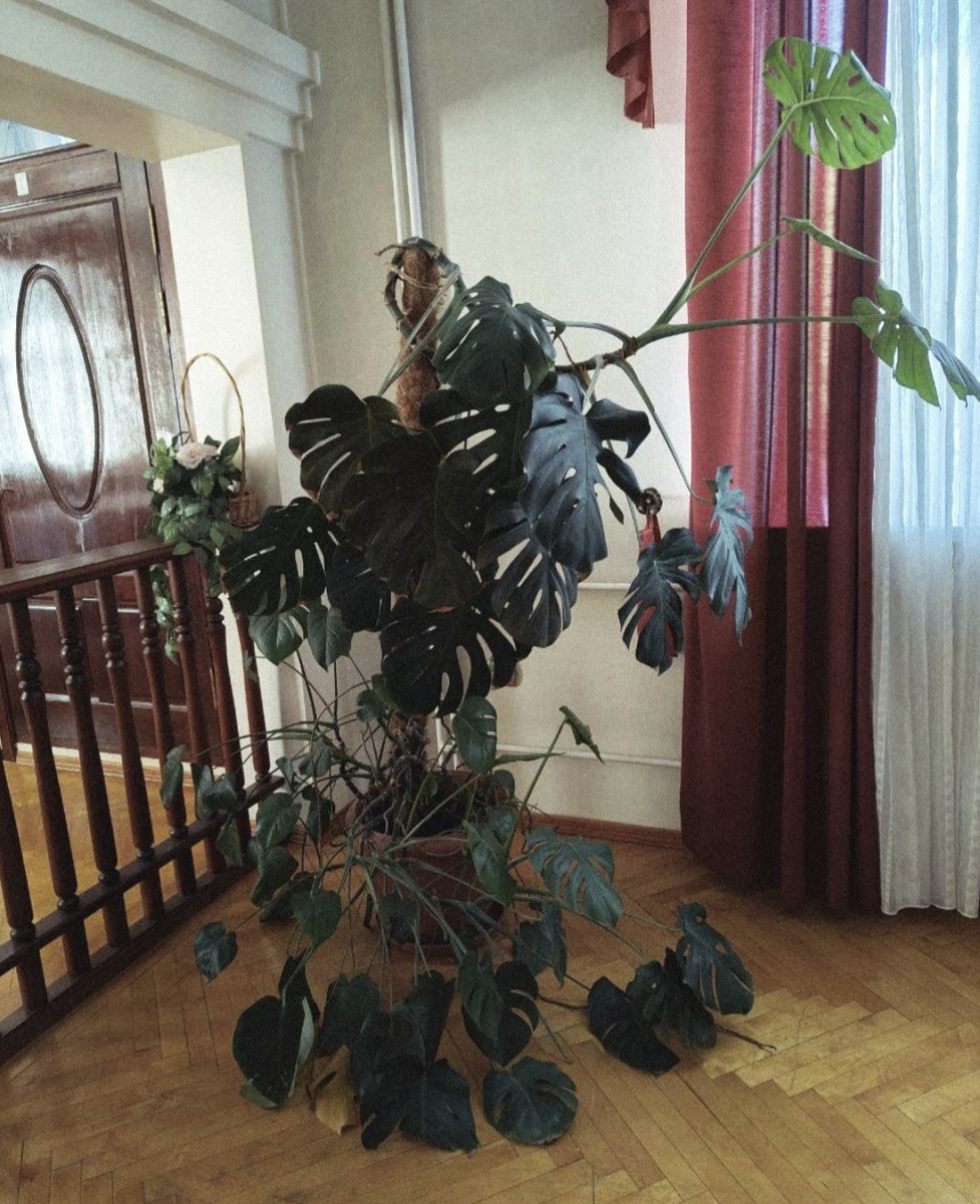 фото открытых источников. 