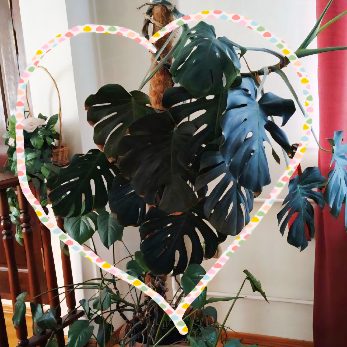 Фрагмент предыдущего фото.