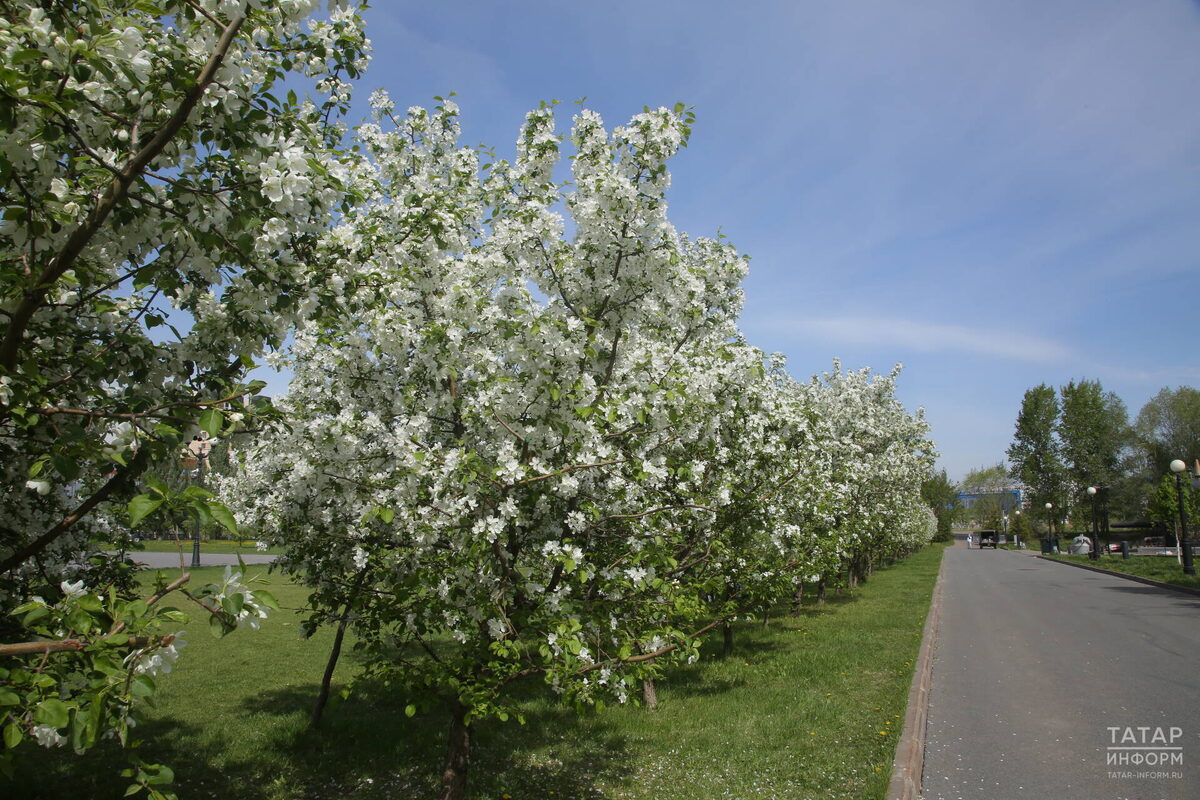 Фото: © Султан Исхаков / «Татар-информ»