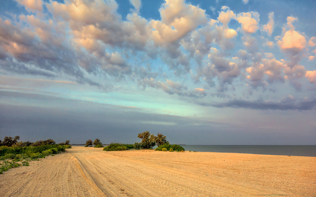 Побережье Азовского моря Фото: Яндекс карты  Автор: Игорь Сарапулов