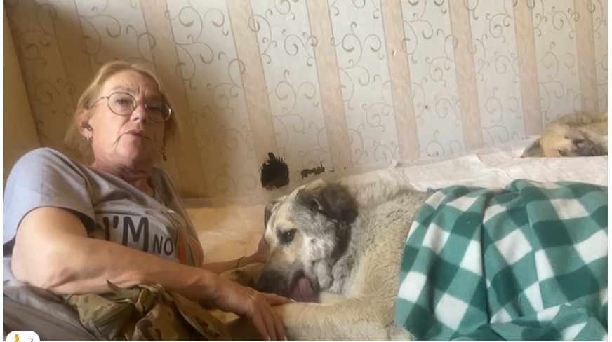 Байкалка после операции.