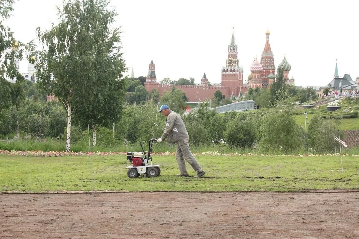 Рулонный газон в Москве и Московской области
