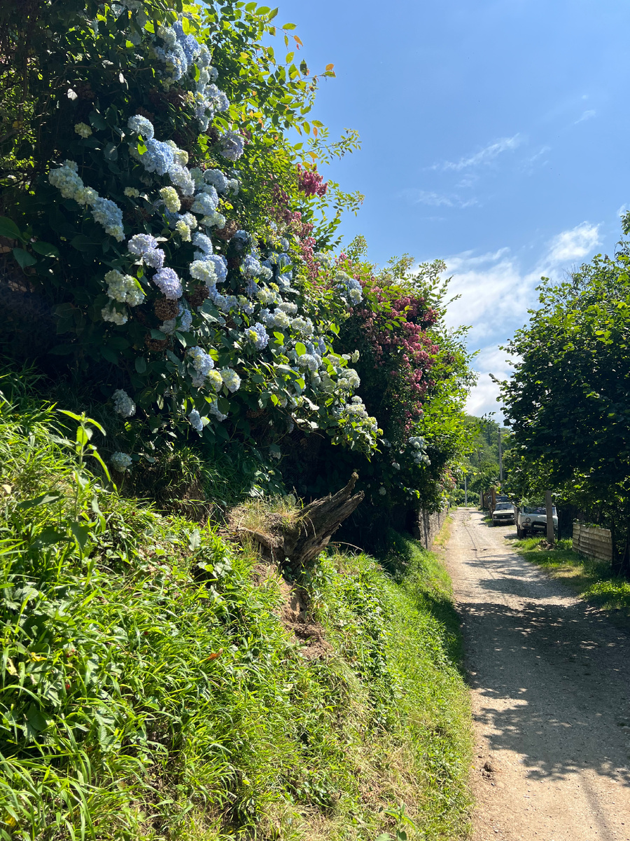 В селе Нижнеорехово.