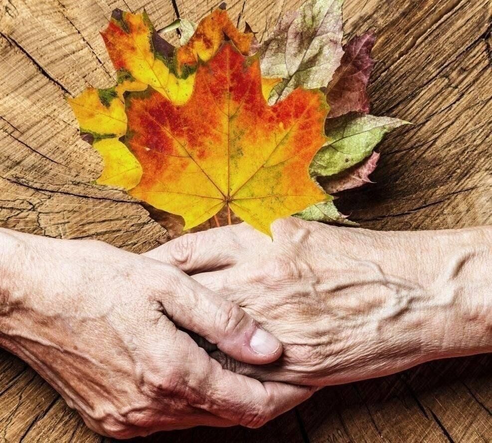 Используется в качестве иллюстрации. Источник: Яндекс.Картинки