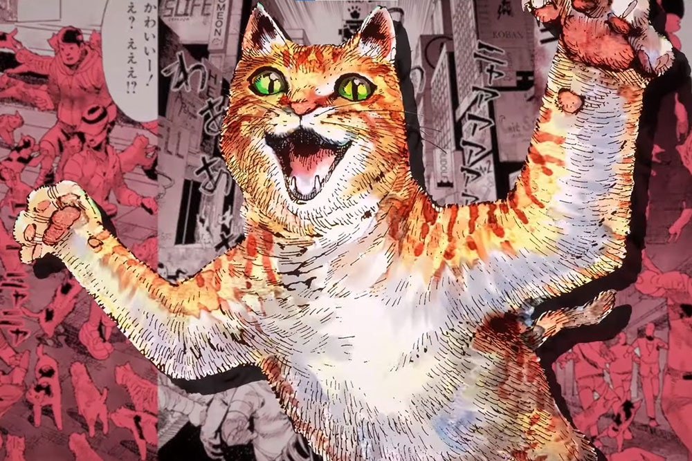 Фото из открытых источников 