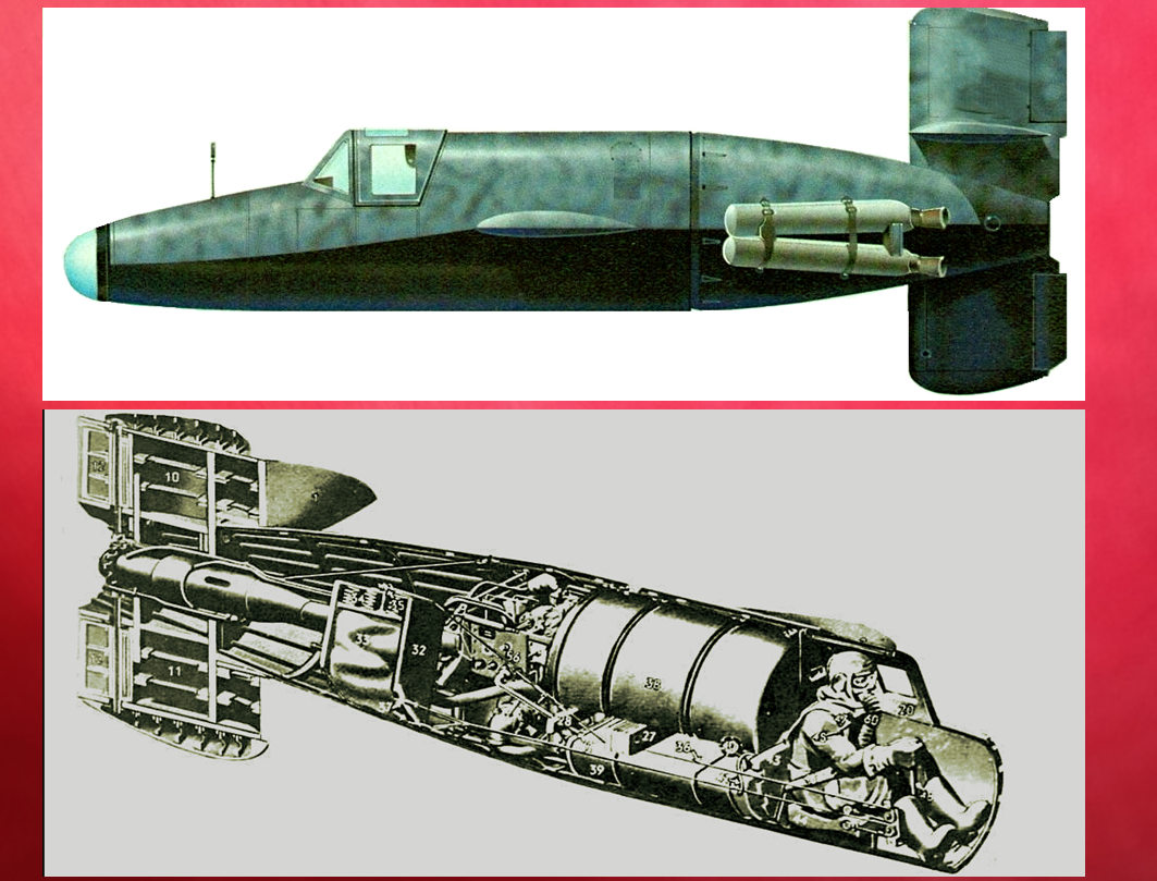 Вид сбоку и внутреннее строение крылатой машины.