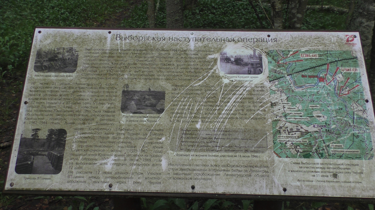 Выборгская наступательная операция. Стенд в лесу.