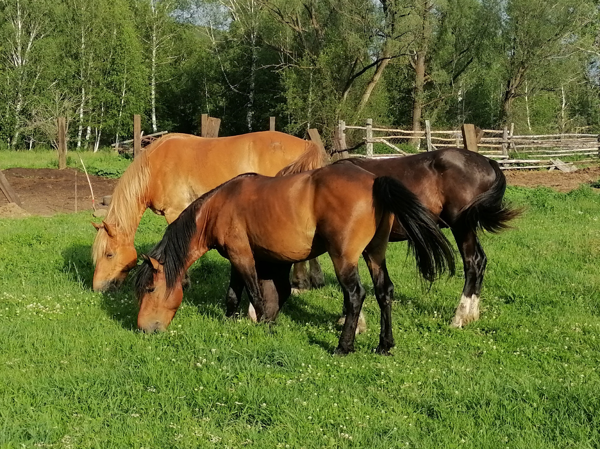 От работы, как известно...