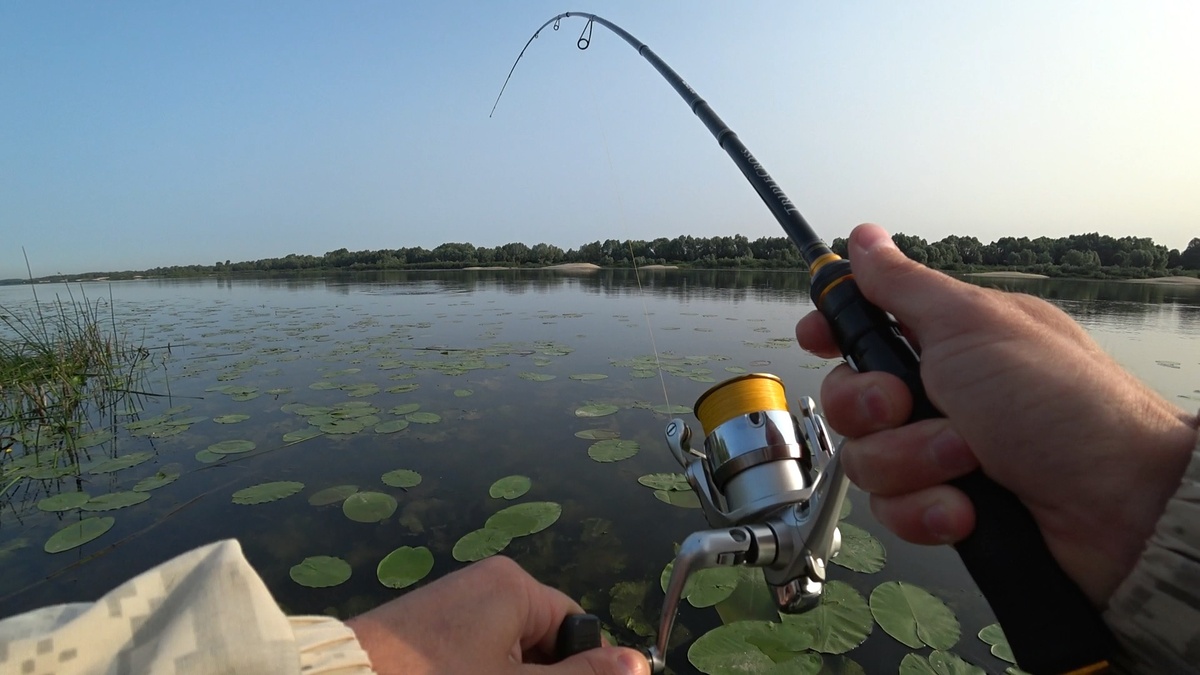 Заставка к видео "Поверхностные приманки зверско атакуют !"