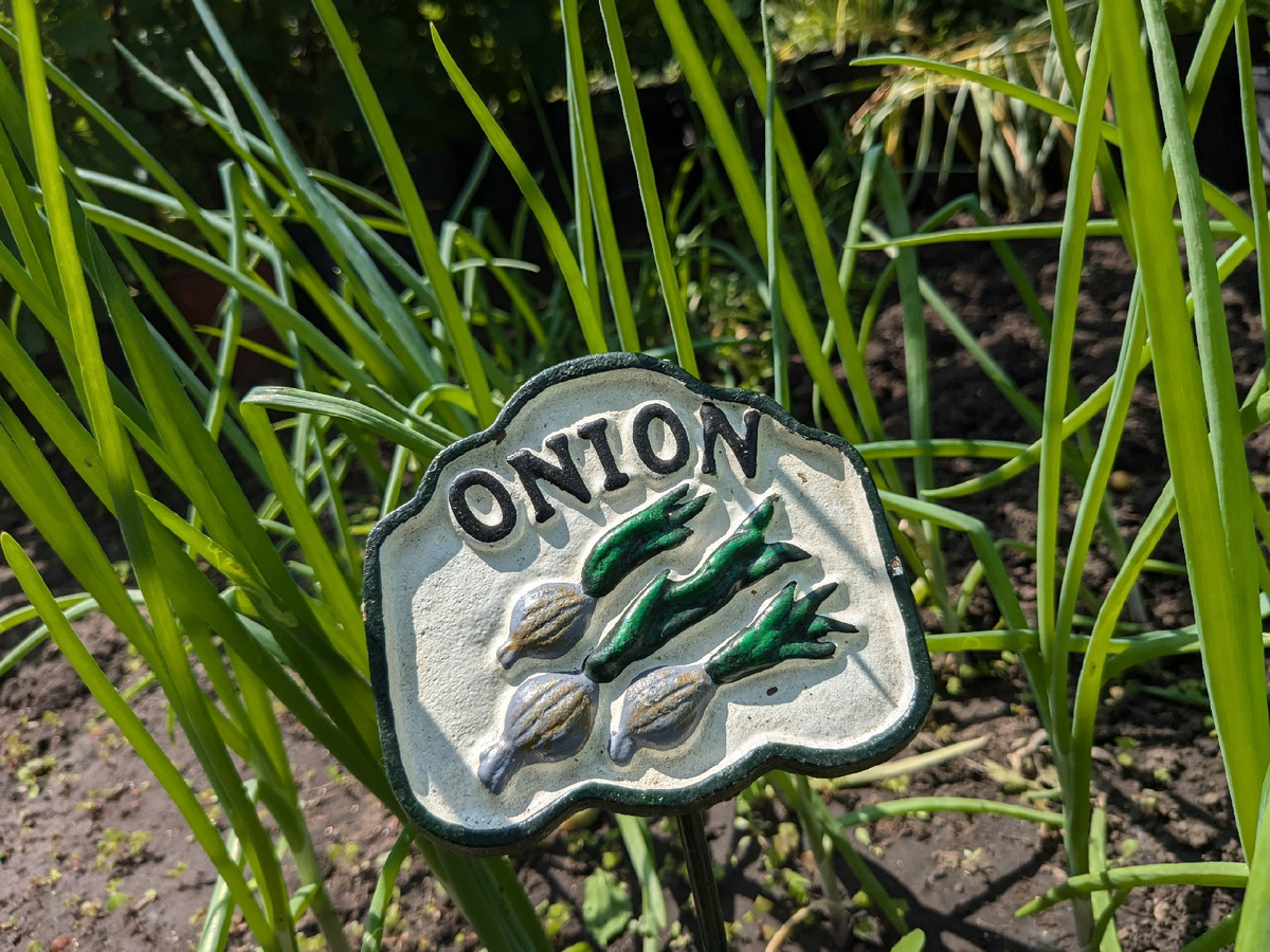 Огородная табличка. И когда трудолюбивые китайцы научатся писать по-русски?