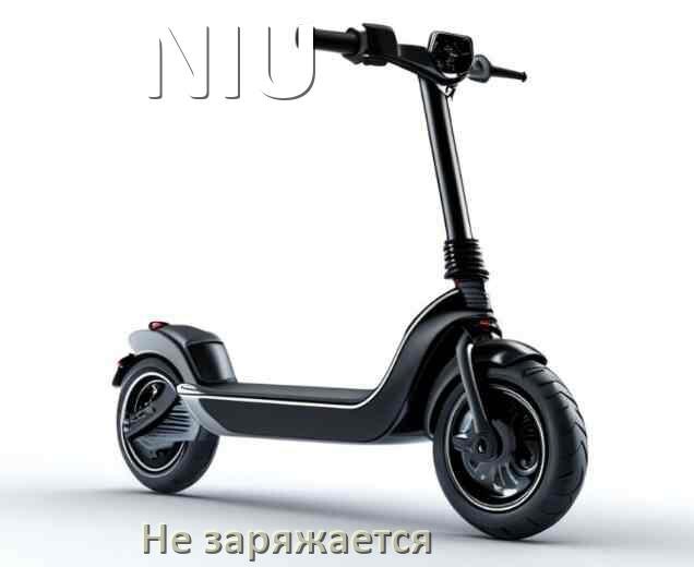 
Почему электросамокат NIU не заряжается