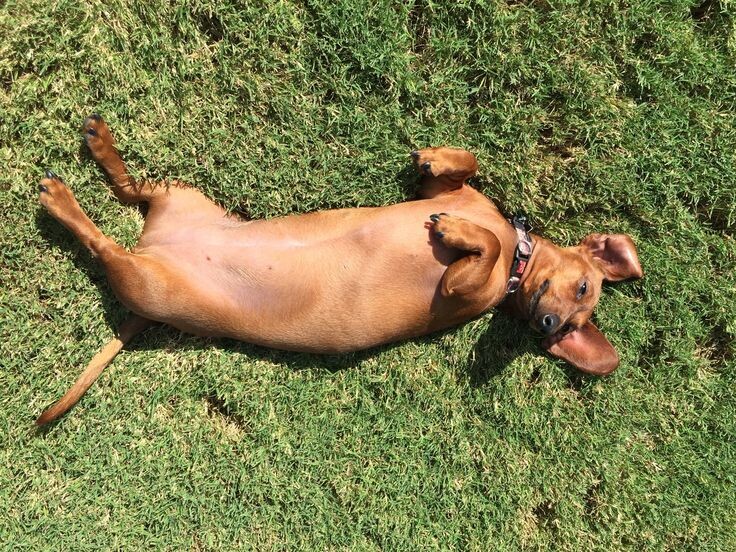 Не забываем про солнечные ванны