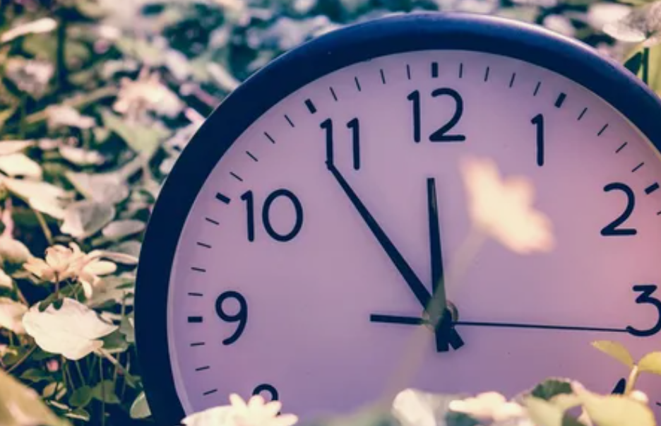 картинки Яндекс