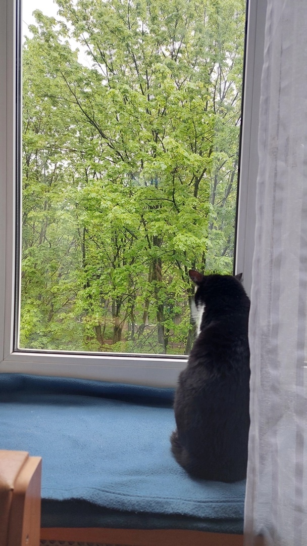 иллюстрация из яндекс картинки.