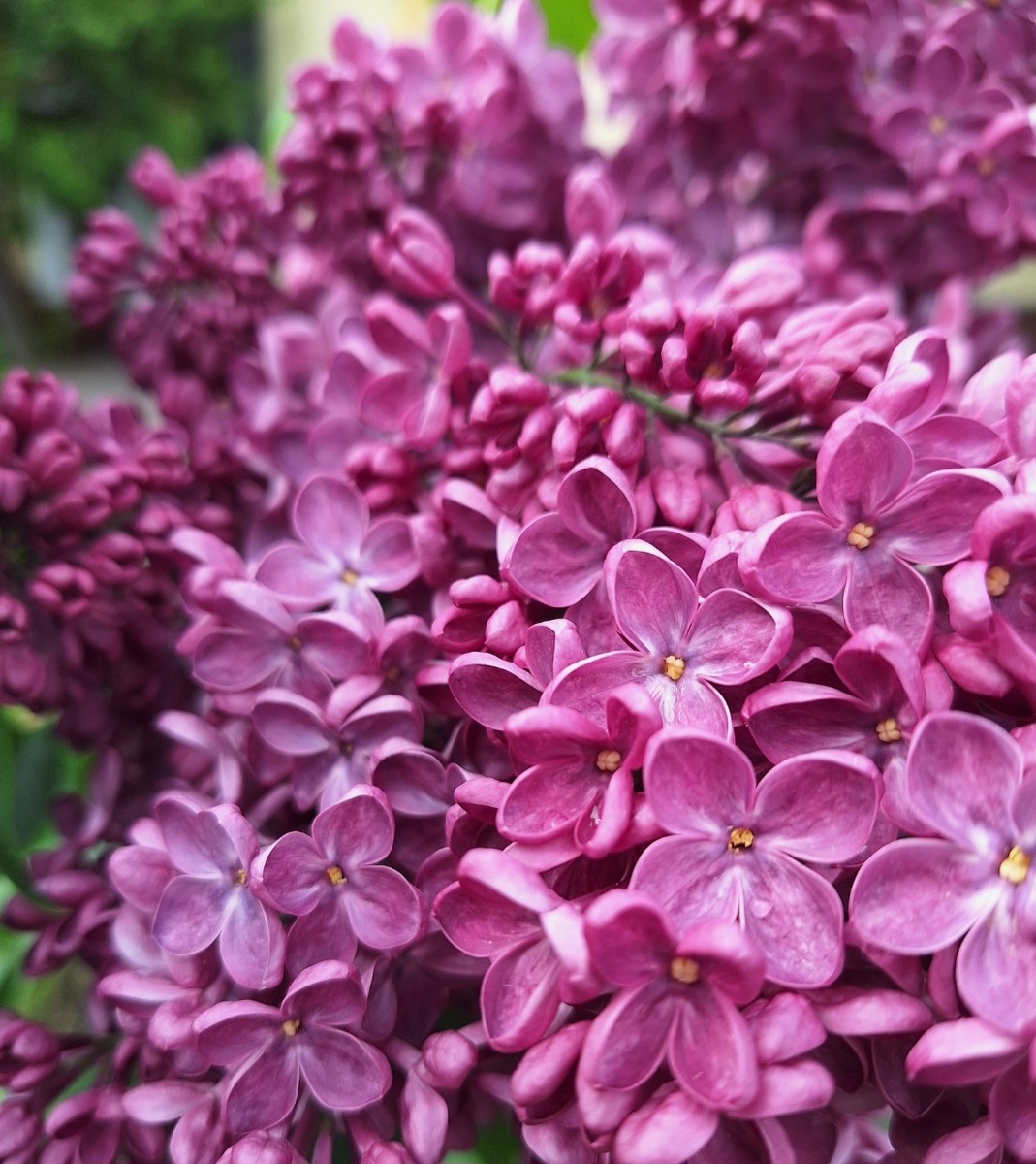 Фотоколлаж - собственность автора канала.