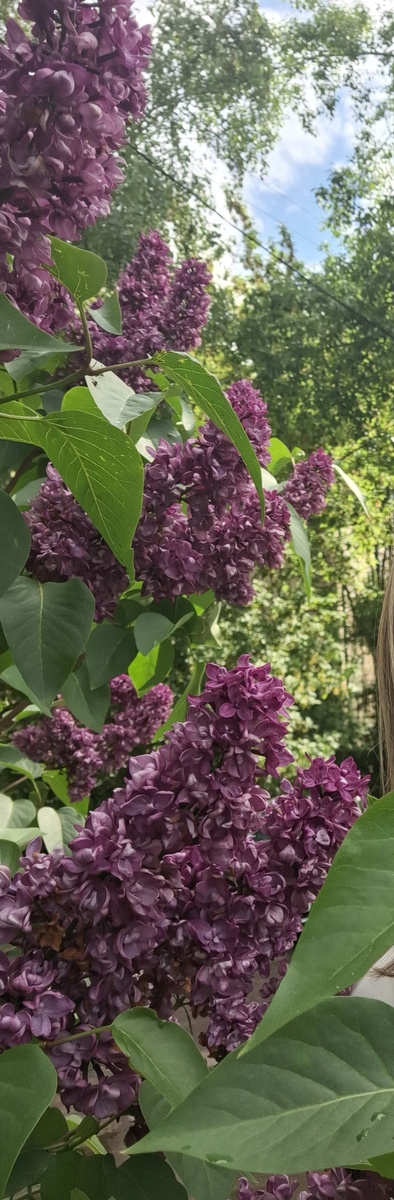 Фотоколлаж - собственность автора канала.