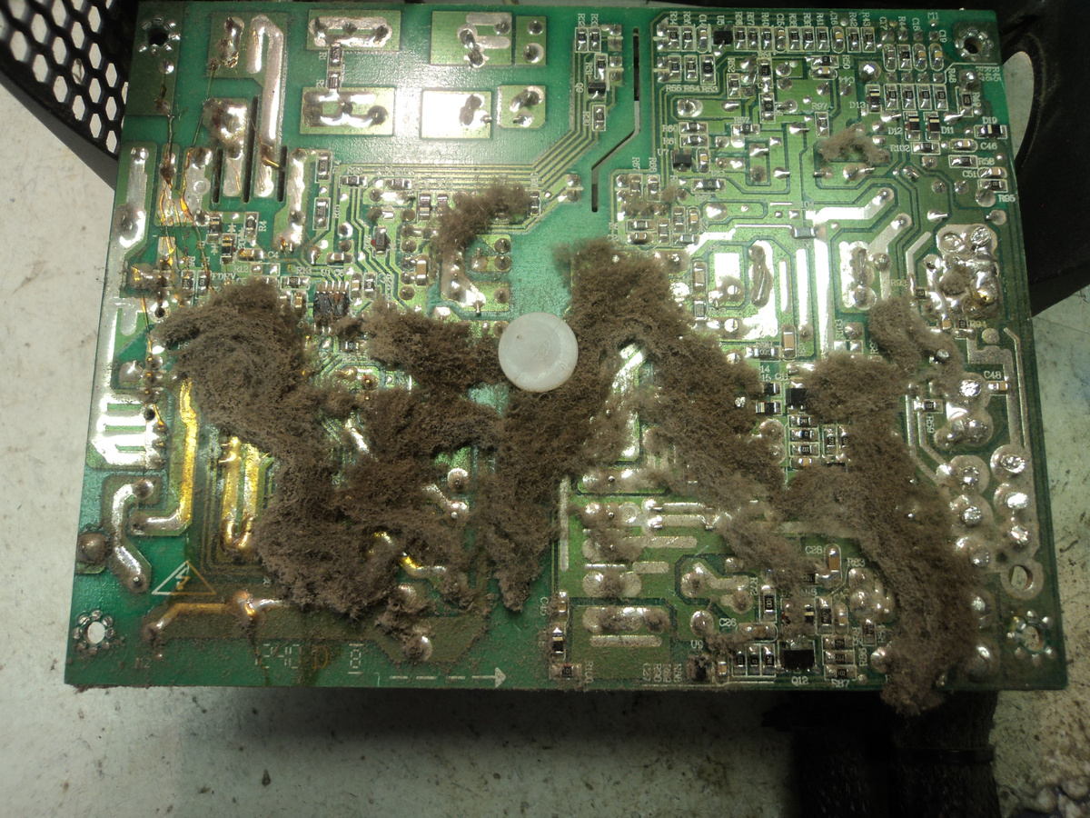 Без комментариев. Фото автора.