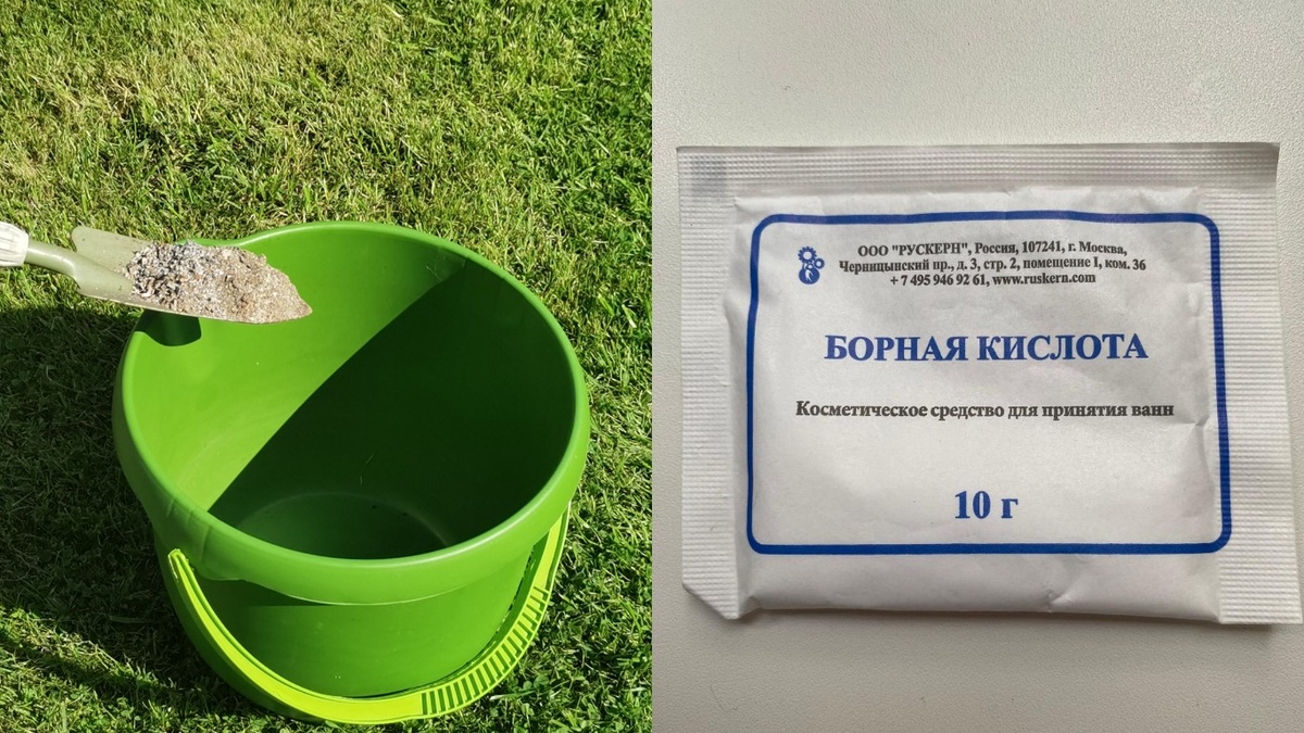Простые компоненты для эффективной подкормки земляники