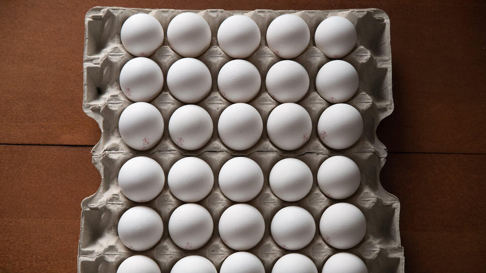 Фото: Александр Манзюк / Коммерсантъ