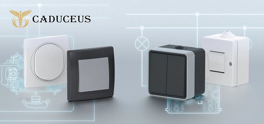 Однополюсные выключатели против двухполюсных: выбираем подходящий вариант