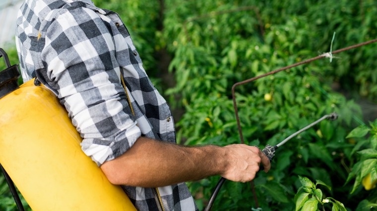 Главная проблема - неправильное время обработки. 