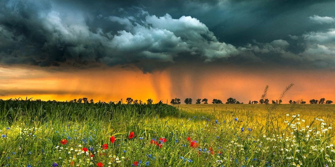 С Днем России!