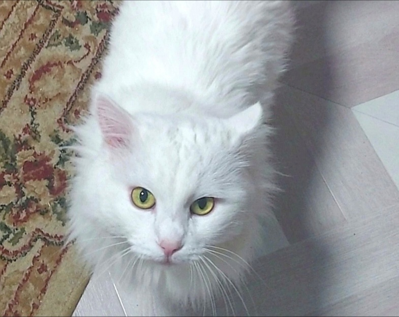 Тимофей - ни капли раскаяния в глазах