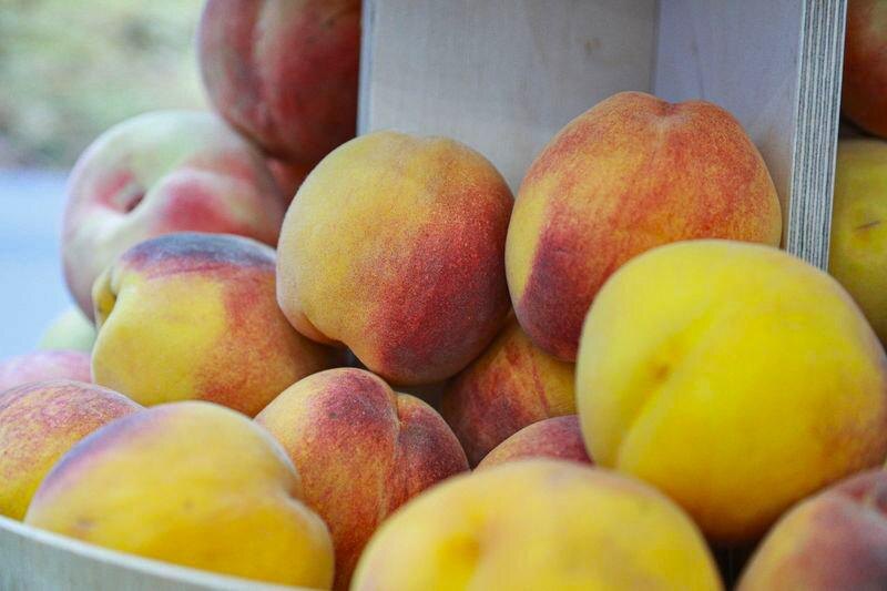    Сергей Булкин/NEWS.ru